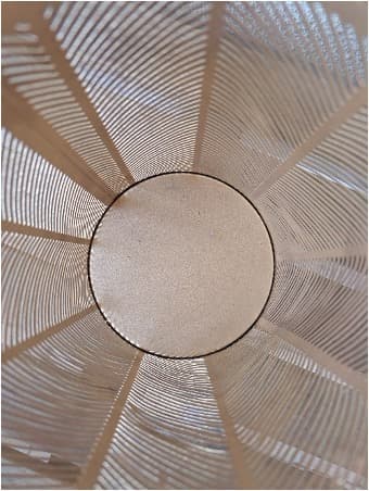 Vase für Trockenblumen